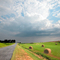 Walnut Hill: Kansas Road Farm