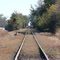Alabama & Gulf Coast Railway