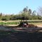 Sugar Cane Mill