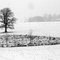Alone in winter quiet