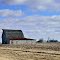 Country farm
