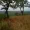 Devil's Backbone, FM 32, Texas
