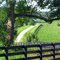 Kentucky driving