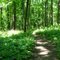 Yankee Springs