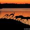 Boat Silhouettes