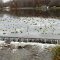Spill way of Orangeville Mill Pond