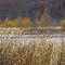Fish Lake