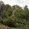 Chimney Rock