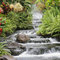 Test Photo