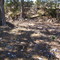 Wasp Creek