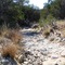 Werner Creek