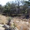 Jacobs Creek