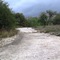 Platten Creek