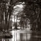 A Texas River