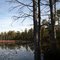 Mullica River Nov 7