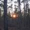 Sunset in Wharton State Forest