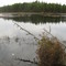 Batsto Lake from East
