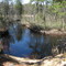 Mullica River Wilderness
