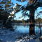 Batsto Lake
