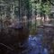 Batsto River