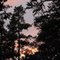 The Forks Road at Sunset