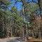 Swamp Road, Northwest Woods