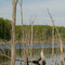 Sandy Ridge Reservation