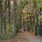 Wildwood Preserve Metropark, Toledo Ohio