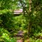 DL&W Railroad bed