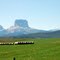 View of Chief Mountain from Rt. 89 north of Babb, MT