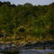 Waterscape