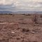 Civilian Conservation Corps Camp Bulletin Board Remains (Looking North from the marker) - 22 MAY 1987