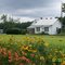 Pine Point, Lancaster, Va.