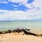 VIRGINIA: LANCASTER COUNTY: WHITE STONE: FLEET'S ISLAND: Westland Beach on the Rappahannock River at the end of Windmill Point Road (S.R. 695)
