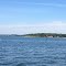 Rappahannock River, Virginia - port marker #8R at Mosquito Point