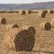 Hay rolls near Plain, WI