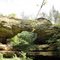 Natural Bridge State Park