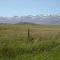 North Fork of the Humboldt River Valley