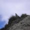 Naknek beach and the bold eagle