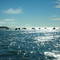 salmon fishing boats on the Naknek river