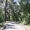Orange Beach Backcountry Trail