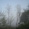 Fog in NW Hartselle, Alabama