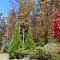 Madison Park