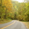 Blue Ridge Parkway fall 2006