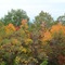 Fall 2008 on the Blue Ridge Parkway