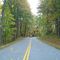 Blue Ridge Parkway in the Fall