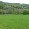 Verte campagne virginienne