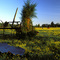 Old Farm at Dawn