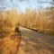 Bridge at Bona Dea Trail
