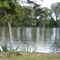 kelly lake